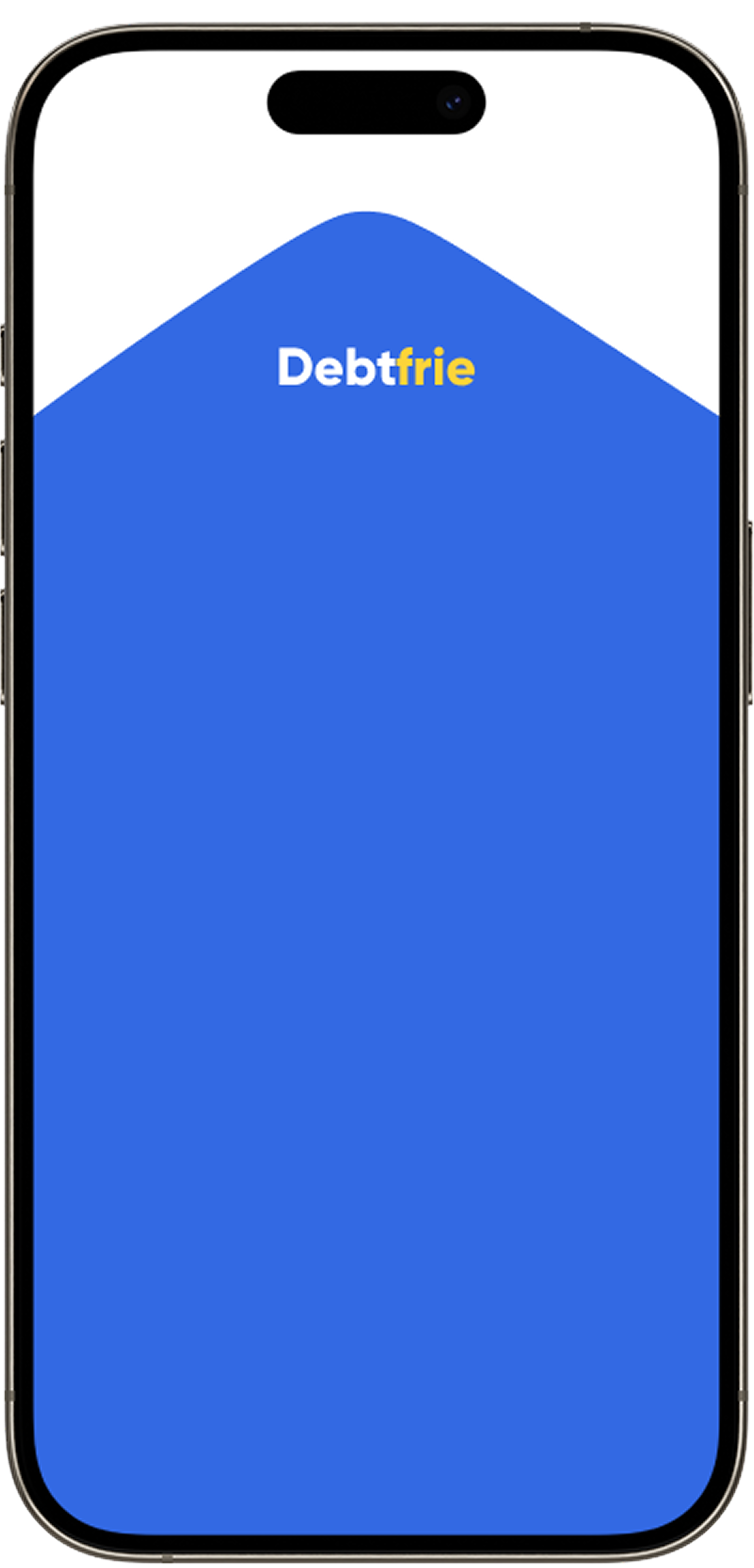 Debtfrie mobile application dashboard interface